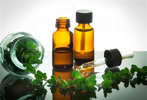 Oregano Oil - Health Benefits, Uses, Dosage & more