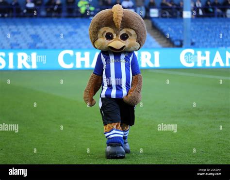 Sheffield Wednesday mascot Ozzie Owl Stock Photo - Alamy