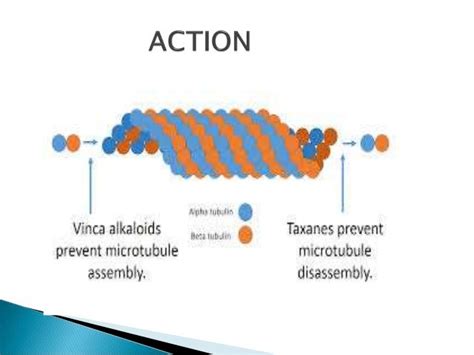 Vinca alkaloids