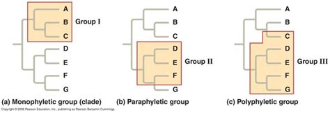 Identifying Members of a Clade - CLADISTICS