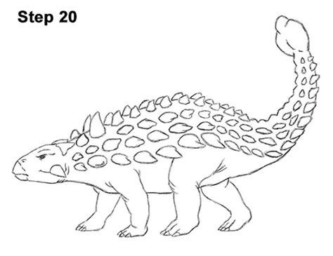 How to Draw an Ankylosaurus