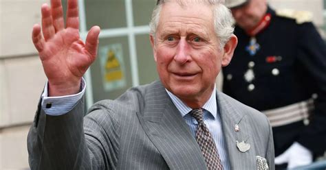 Prince Charles Hands / Prince William resumes socially-distanced public duties ... : However ...