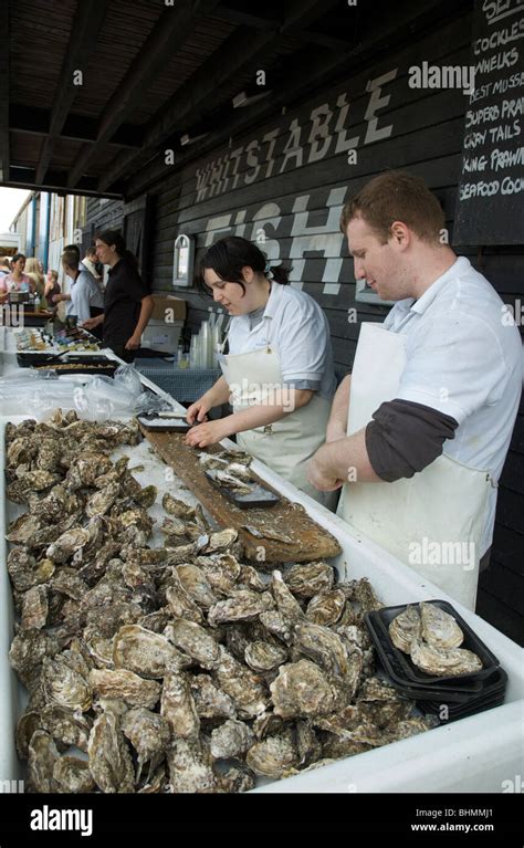 Whitstable Oyster Festival Preparing Oysters Stock Photo - Alamy