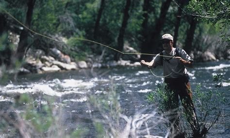 Rocky Mountain National Park Fishing Guides / Shops - AllTrips