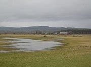 Category:Caerlaverock National Nature Reserve - Wikimedia Commons