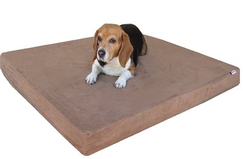 Orthopedic Dog Beds: The Best Orthopedic Beds For Large Pets ...