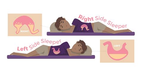 Sleep & Your Digestion - Our Sleep Guide