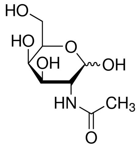 N-ACETYL-D-GALACTOSAMINE | Merck Life Sciences Thailand