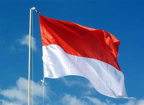 Sketsa Gambar Bendera Merah Putih Terbaru - Kumpulan Sketsa Gambar