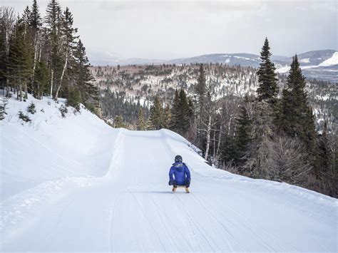 Become a sledding guide at Le Massif | Le Massif Adventure Awaits ...