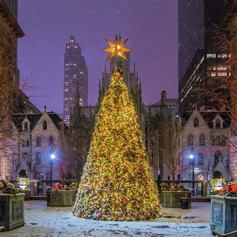 Christmas Tree at the New York Palace on a snowy morning in midtown Manhattan, New York City by ...