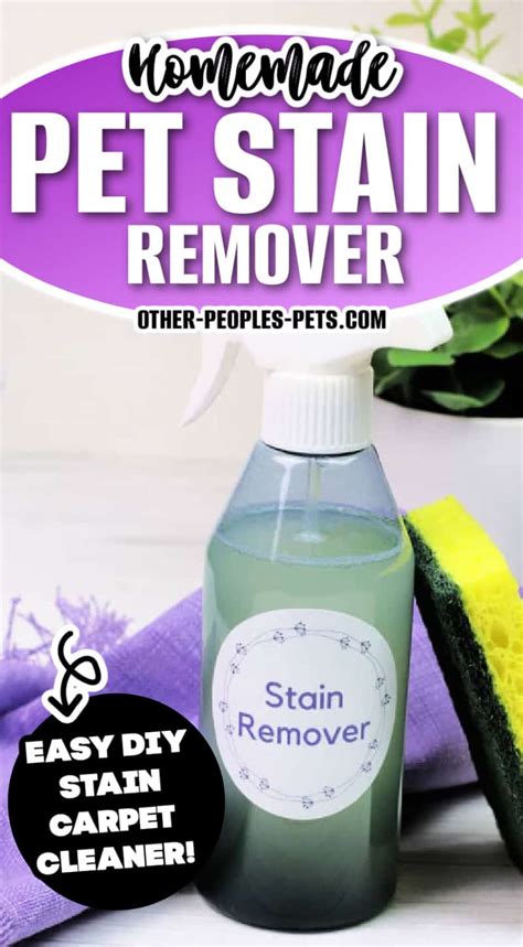 Homemade Pet Stain Carpet Cleaner Other People S Pets