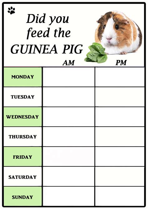 Guinea Pig Feeding Chart ‘Did You feed the Guinea Pig’ Unique Dry Wipe Flexible Magnet with ...