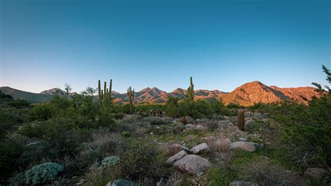 Arizona, cacti, mountains Wallpaper 3840x2160 4K Ultra HD