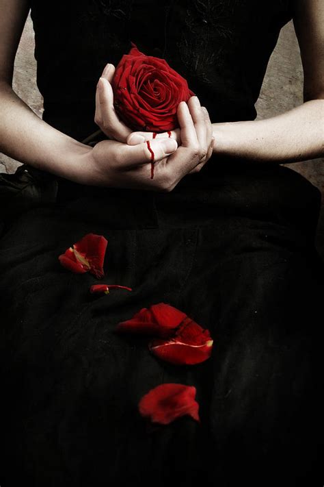 Bloody Rose Photograph by Cambion Art