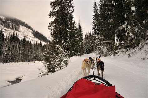 10 unique winter activities in Jasper National Park | Tourism Jasper