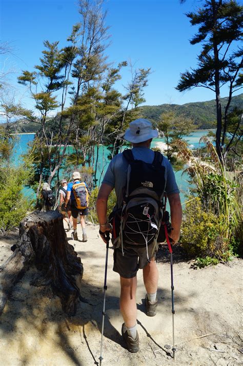 Southern Slice Overview | Hiking NZ | Abel tasman national park, New ...