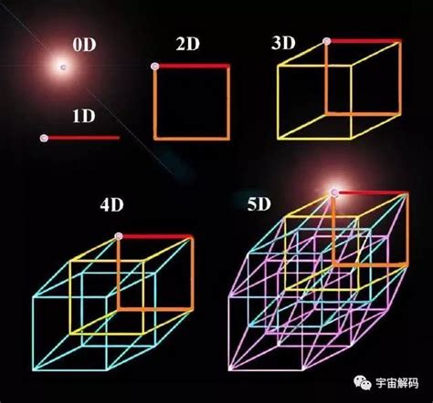 弦理论的十一维空间_维度