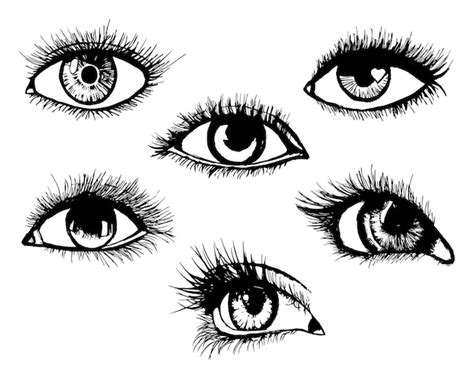 Premium Vector | Set line drawings of different eyes black and white design