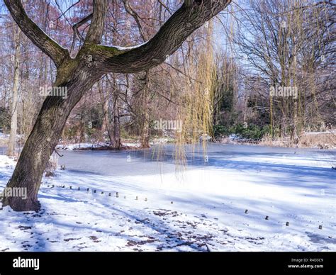 tiergarten in berlin Stock Photo - Alamy