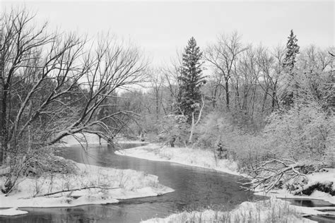 Wings & Wildflowers: Minnesota Winter