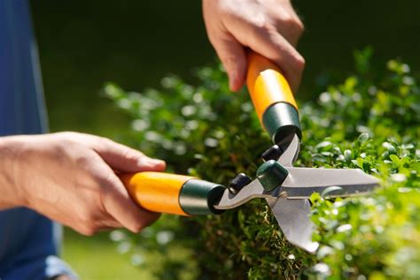 6 Garden Maintenance Tips You Can’t Ignore - Modulus