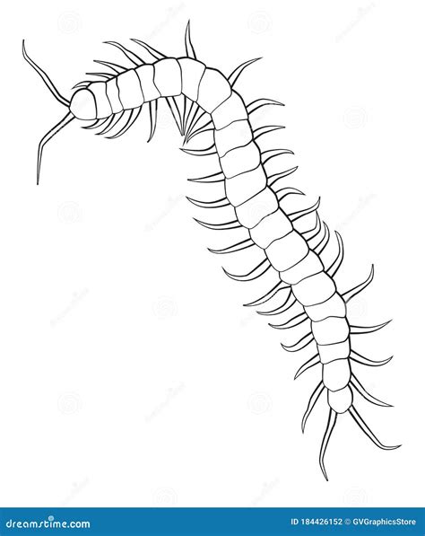 Ink Drawn Centipede Royalty-Free Stock Photo | CartoonDealer.com #38106219