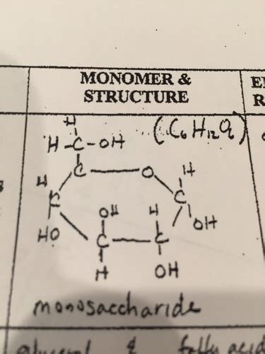 biomolecules chart Flashcards | Quizlet