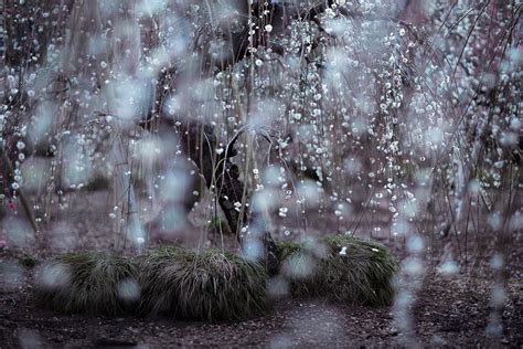 プロ写真家が厳選！「美しい雨の風景」ベスト5 | ライフスタイル | LEON レオン オフィシャルWebサイト