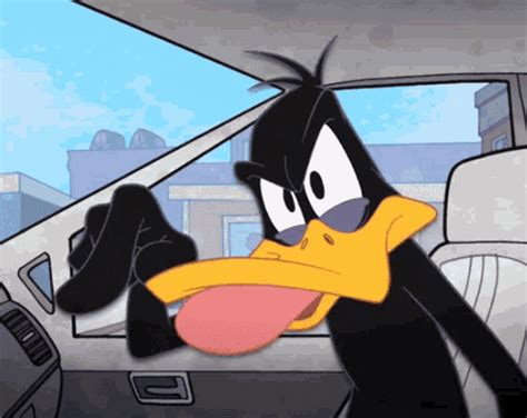 Looney Tunes Daffy Duck GIF - Looney Tunes Daffy Duck You - Discover & Share GIFs