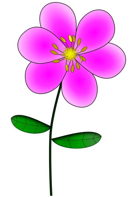 Pink Flowers Clipart - Cliparts.co