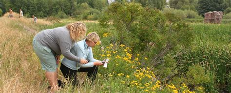 Undergraduate Majors - Default | Montana State University