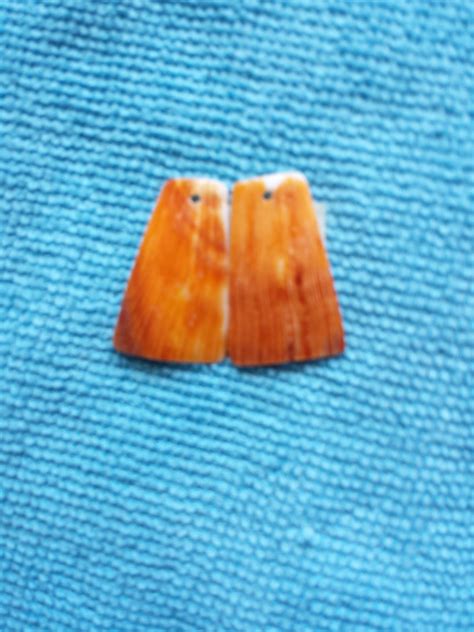 Spiny Oyster Earrings Spiny Oyster Orange Hut Shaped Spiny Oyster ...