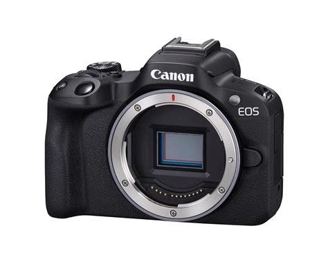 Canon EOS R7 vs EOS R8 Comparison Review, And 10 Main Diff