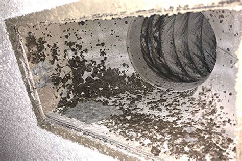 Signs of Mold in Air Vents – DRYER VENT & AIR DUCT CLEANING IN OTTAWA