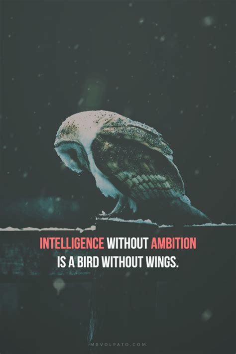 Intelligence with ambition. http://www.reddit.com/r/GetMotivated/comments/2j0jcf/image_your ...