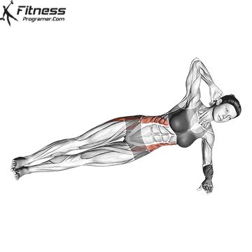 How To: Side Plank Leg Raises - Benefits, Muscles Worked