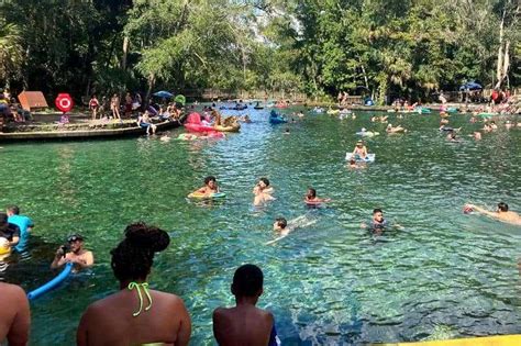 The Flora and Fauna of Wekiwa Springs State Park: A Biodiversity ...