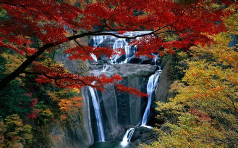 Autumn Free Wallpapers - Wallpaper Cave