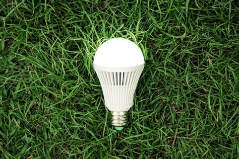 Best Energy Saving Light Bulbs | Senoko Energy - Senoko Energy