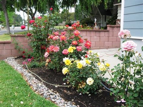 small backyard rose garden ideas - Climax Webcast Photogallery