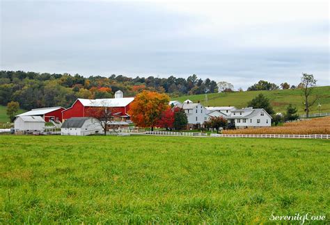 Serenity Cove: Fall Scenes from Holmes County