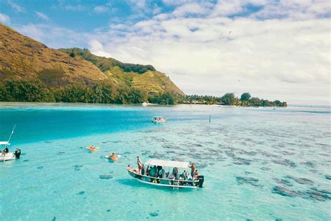 Unforgettable lagoon tour around Moorea 2024 - Viator