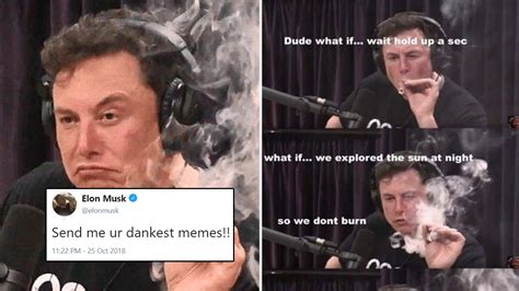 Elon Musk Twitter Memes | BlageusDown