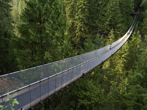 Capilano Suspension Bridge HD Wallpapers and Backgrounds