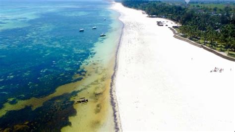 Diani Chale Marine national reserve | Diani Island | Chale Island