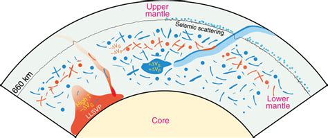 Schematic diagram for subducted oceanic crust in the lower mantle The ...