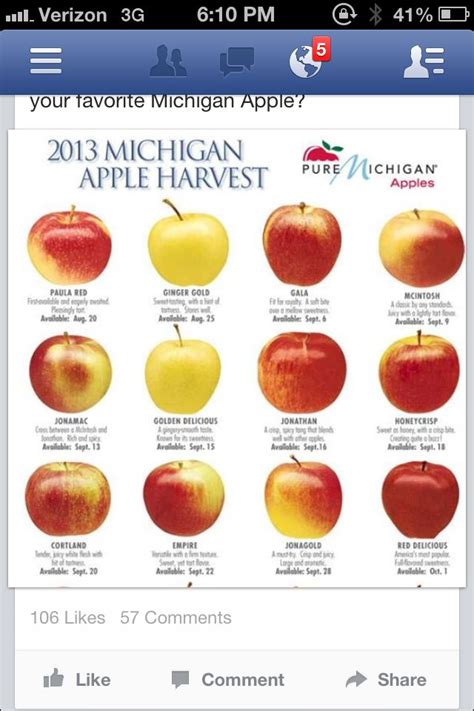 10 Best images about Apple Varieties-Cultivars on Pinterest | Pink pearls, Charts and Types of