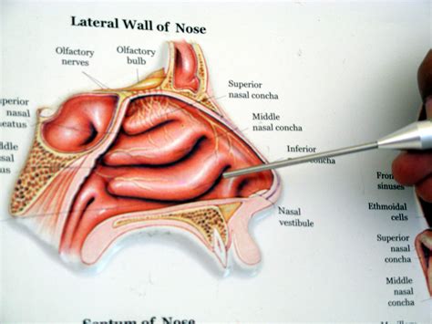 Uncategorized Archives - Page 10 of 11 - Midwest Sinus and Allergy