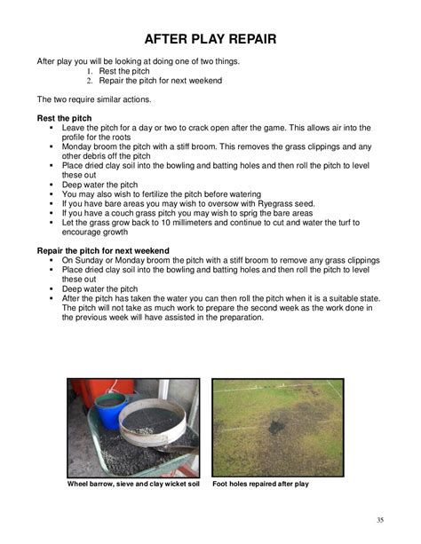 Basic guide to turf cricket pitch preparation